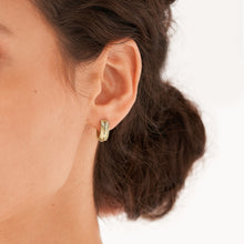 Load image into Gallery viewer, Harlow Linear Texture Gold-Tone Stainless Steel Huggie Hoop Earrings JF04116710
