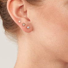 Load image into Gallery viewer, All Stacked Up Rose Gold-Tone Stainless Steel Earrings Set JF04320SET

