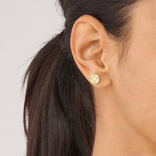 Load image into Gallery viewer, Sadie Scalloped Edge Gold-Tone Stainless Steel Stud Earrings JF04381710
